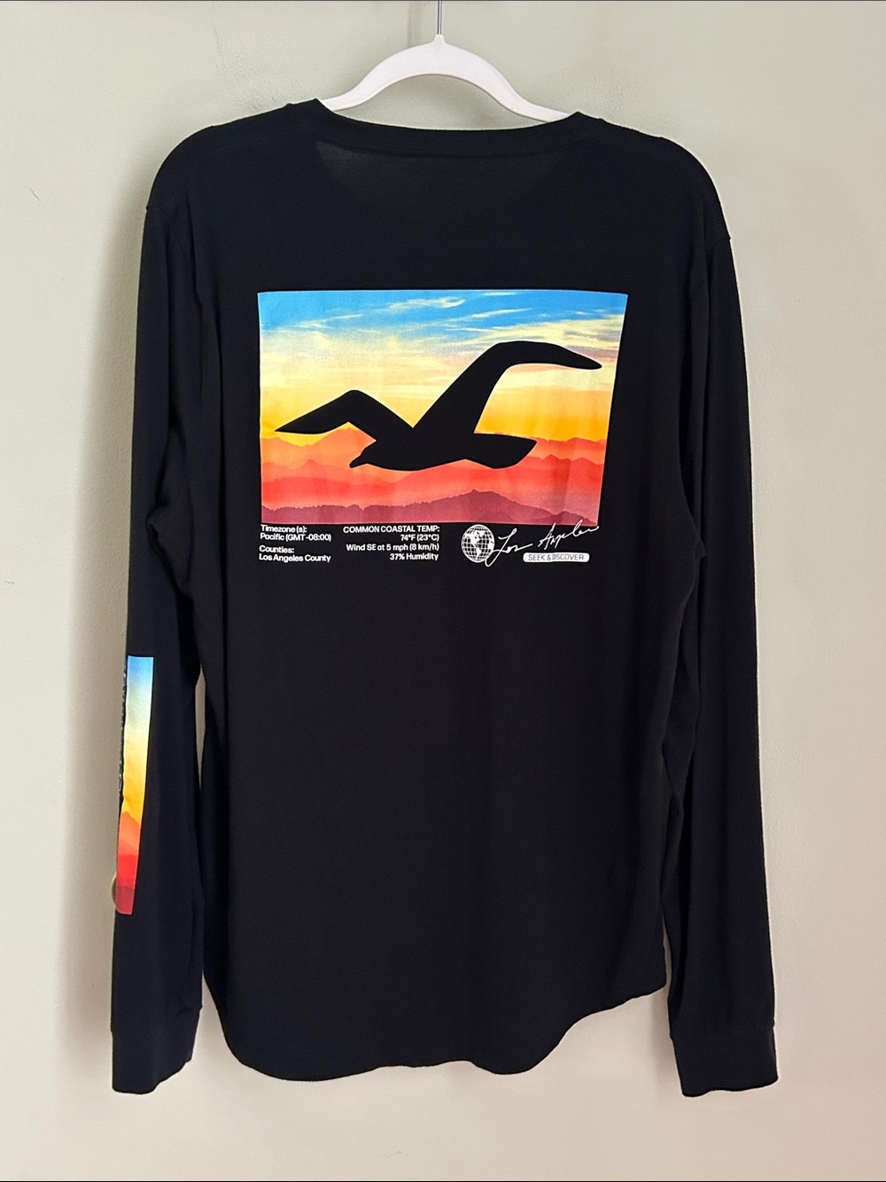Hollister Black Long-Sleeve Logo Crew Tee
